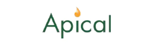 Logo Apical